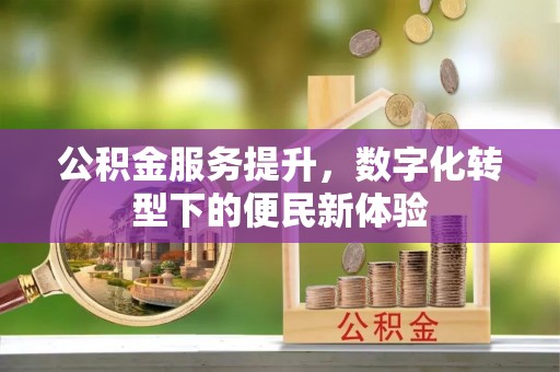 勐海公积金服务提升，数字化转型下的便民新体验