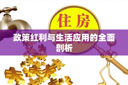勐海政策红利与生活应用的全面剖析